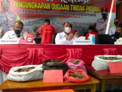 Jual Hewan Yang Di Lindungi, Empat Tersangka Diamankan Ditreskrimsus Polda Kalteng