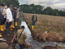 Ajak Masyarakat Lindungi Lahan Gambut