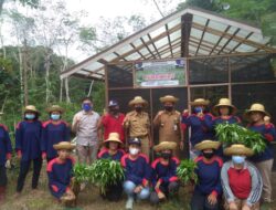 Tinjau KWT, Kadis DKP Mura Sampaikan Apresiasi