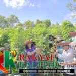 Ketua TP PKK Panen Sayur bersama DKP di Danau Usung