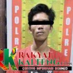 Satu Persatu Pelaku Kejahatan Narkoba di Mura Tertangkap Dalam Ops Antik Telabang