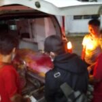 Tunggu Durian Jatuh, Warga Murung Raya Tewas Tertimpa Pohon