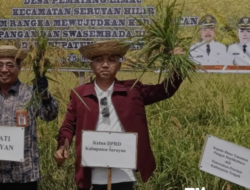 Kelompok Tani Desa Pematang Limau Mendapat Apresiasi Dari Ketua DPRD