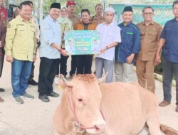 Pemprov Kalteng Gelar Pasar Murah dan Bagikan 55 Hewan Sapi Kurban di Mura