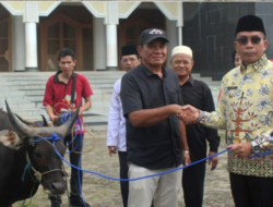 Pemkab Mura Serahkan Hewan Kurban Untuk Umat Muslim Hari Raya Iduladha 1445