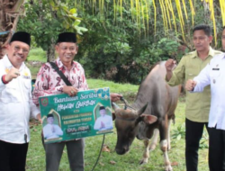 Pemkab Mura Dampingi Pemprov Kalteng Salurkan Hewan Kurban dan Gelar Pasar Mura