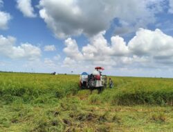 Masuki Musim Tanam, Pemerintah Diminta Perhatikan Kebutuhan Alsintan Petani