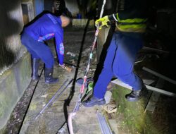 Damkar Mura Takluk Ular Kukri Berukuran Besar
