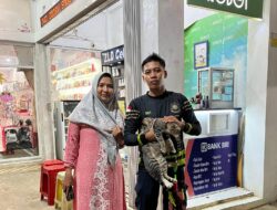 Lagi, Regu C Damkar Mura Berhasil Evakuasi Kucing dari atas Plafon Rumah