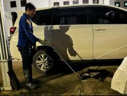 Diduga Keracunan, Anjing yang Terlentang di Bawah Mobil Warga Dievakuasi Damkar Mura