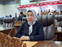 Wakil Ketua Komisi III DPRD Barut Apresiasi Pembangunan Balai Adat Desa Karendan dan Rumah Betang Juju Baru