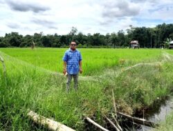 Pendapat Anggota DPRD Barito Utara Ardianto terkait 1.000 Patok Tanda Batas (Gemapatas)yang Dipasang