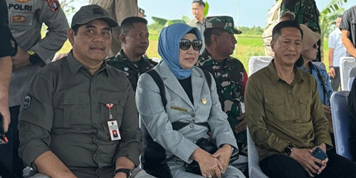 Ketua DPRD Barito Utara Hj Mery Rukaini (dua dari kiri) bersama Pj Bupati Muhlis (satu dari kanan) dan Kepala Dinas PU Kalteng Shalahuddin (satu dari kiri) menghadiri panen raya padi serentak di Desa Pantik, Kecamatan Pandih Batu, Kabupaten Pulang Pisau, Senin (7/4).