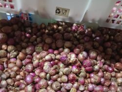 Bawang Merah di Pasar Induk Puruk Cahu Naik! Dijual Rp 70.000/Kg