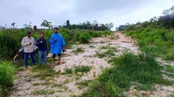 SURVEI - Sekretaris Komisi II DPRD Barito Utara, Ardianto (tengah), bersama Kepala Desa Butong, Makrin serta petugas dari PLN UP2K kalteng melakukan survei terkait rencana pengembangan jaringan listrik di dua desa, Desa Butong Kecamatan Teweh Selatan dan Desa Liang Buah Kecamatan Teweh Baru, Rabu (18/6).