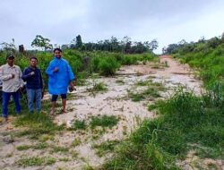 DPRD Barito Utara Bersama Kades Butong Survei Rencana Jaringan Listrik Desa