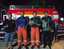 Tumbangkan Tawon di Pemukiman Penduduk, Damkar Mura dapat Apresiasi Positif