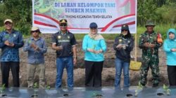TANAM BERSAMA KELOMPOK TANI - Aggota DPRD Barito Utara, Ardianto (tiga dari kiri) dan Pj Ketua TP PKK Barito Utara, Melly Novita (lima dari kiri) dan undangan lainnya saat menanam bersama kelompok tani sumber makmur, di Desa Tringsing, Sabtu (2/8).