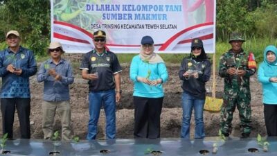 TANAM BERSAMA KELOMPOK TANI - Aggota DPRD Barito Utara, Ardianto (tiga dari kiri) dan Pj Ketua TP PKK Barito Utara, Melly Novita (lima dari kiri) dan undangan lainnya saat menanam bersama kelompok tani sumber makmur, di Desa Tringsing, Sabtu (2/8).