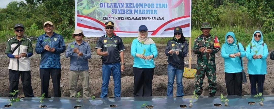 TANAM BERSAMA KELOMPOK TANI - Aggota DPRD Barito Utara, Ardianto (tiga dari kiri) dan Pj Ketua TP PKK Barito Utara, Melly Novita (lima dari kiri) dan undangan lainnya saat menanam bersama kelompok tani sumber makmur, di Desa Tringsing, Sabtu (2/8).