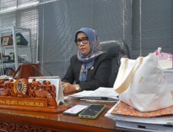 Penghentian Aktivitas Tambang, Komisi II DPRD Kalteng Tekankan Kepatuhan Lingkungan dan Sosial