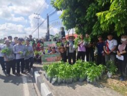 Dorong Kemandirian Pangan, UPT BPPBTPH Edukasi Masyarakat Lewat Bibit Cabai