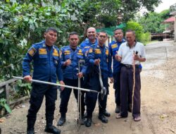 Damkar Mura Berhasil Amankan Ular Masuk Rumah Warga