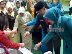 Peringati Hari Ibu Organisasi Wanita Barito Utara Langsungkan Ziarah Ke Makan Pahlawan