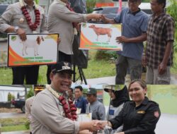 Dukung Kesejahteraan Petani Dan Peternak, Dinas Pertanian Barut Serahkan Bantuan Bibit Dan Hewan Ternak