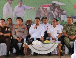 Wagub Kalteng Ikuti Panen Raya dan Swasembada Pangan Bersama Presiden Secara Virtual