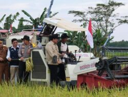 Sektor Pertanian Jadi Prioritas Gubernur Kalteng untuk Wujudkan Swasembada Pangan