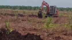 Tak Tersisa, Tanah Koordinator Adat Ikut Tergusur Imbas Ekspansi Perusahaan Sawit di Kawasan Irigasi