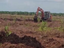 Tak Tersisa, Tanah Koordinator Adat Ikut Tergusur Imbas Ekspansi Perusahaan Sawit di Kawasan Irigasi