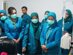 Ketua TP PKK Bersama Jajaran Langsungkan Kunjungan Ke RSUD Muara Teweh