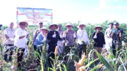 Bupati Panen Raya Jagung Serentak Kuartal II Polres Seruyan Tahun 2026