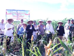 Bupati Panen Raya Jagung Serentak Kuartal II Polres Seruyan Tahun 2026