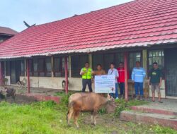 Rayakan Momentum Hari Raya Idul Adha 1447 H, PT BEK Salurkan Hewan Kurban di Tiga Desa
