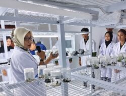 Mahasiswa UMPR Pelajari Pemuliaan Tanaman dan Kultur Jaringan di BPPBTPH Kalteng