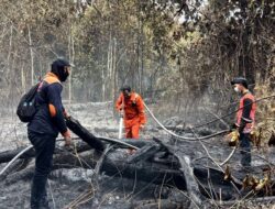 Tim Gabungan BPBD Barito Utara Kembali kendalikan Dua Titik Lokasi Karhutla